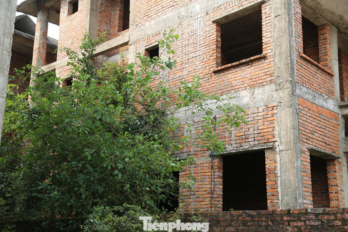 Mặc dù được gia hạn nhiều lần nhưng đến nay dự án vẫn “án binh bất động”.