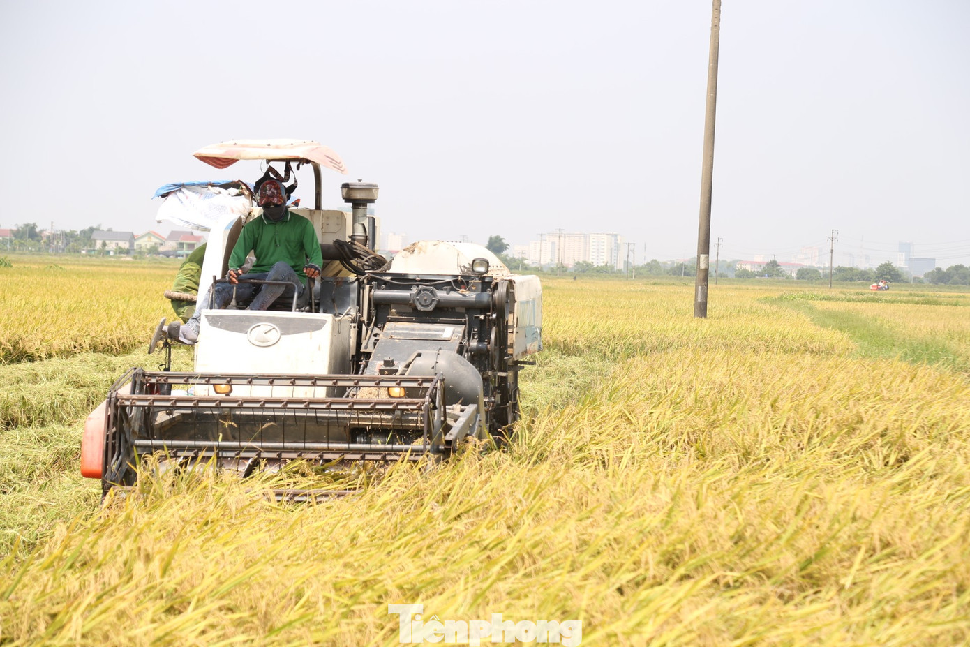 Quá trưa, trời nắng như đổ lửa, anh Chu Văn Hải (35 tuổi, trú xã Hưng Hòa, thành phố Vinh, Nghệ An) vẫn ở ngoài ruộng để vận chuyển lúa về cho người dân kịp phơi khô. Dịch vụ “đưa lúa về nhà” thuận tiện, giá cả hợp lý nên người dân không còn sử dụng các phương tiện thô sơ như kéo tay, xe trâu… nữa. Quá trưa, trời nắng như đổ lửa, anh Chu Văn Hải (35 tuổi, trú xã Hưng Hòa, thành phố Vinh, Nghệ An) vẫn ở ngoài ruộng để vận chuyển lúa về cho người dân kịp phơi khô. Dịch vụ “đưa lúa về nhà” thuận tiện, giá cả hợp lý nên người dân không còn sử dụng các phương tiện thô sơ như kéo tay, xe trâu… nữa.