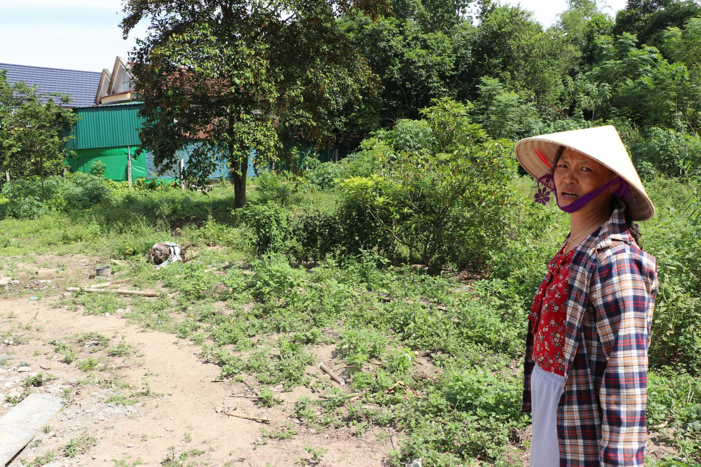 Bà Hồng bên khu đất của gia đình Bà Hồng bên khu đất của gia đình