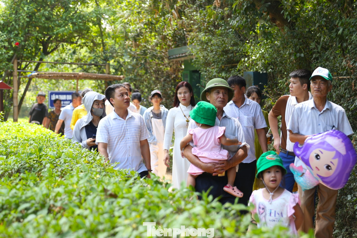 Trong kỳ nghỉ lễ Quốc khánh, rất nhiều gia đình chọn Khu di tích lịch sử quốc gia đặc biệt Kim Liên (huyện Nam Đàn, Nghệ An) - nơi Chủ tịch Hồ Chí Minh sinh ra và trải qua những năm tháng tuổi thơ, làm địa điểm tham quan.
