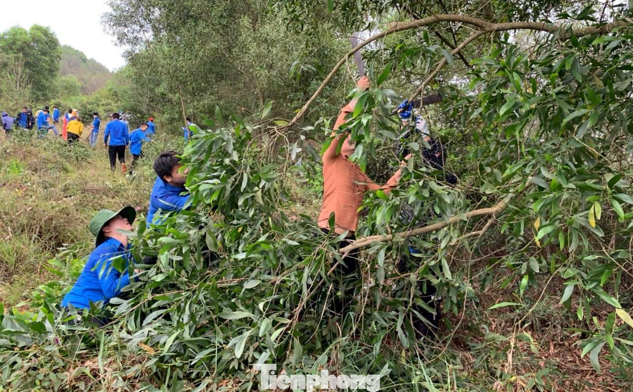 Thời gian tới, bên cạnh công tác tuyên truyền, chủ động tham gia bảo vệ rừng, phòng cháy chữa cháy rừng, Tỉnh đoàn Nghệ An cũng chỉ đạo thành lập và duy trì hiệu quả các đội “Thanh niên xung kích”, “Thanh niên tình nguyện” tại các địa phương có rừng để tham gia các hoạt động bảo vệ và phòng cháy chữa cháy rừng.