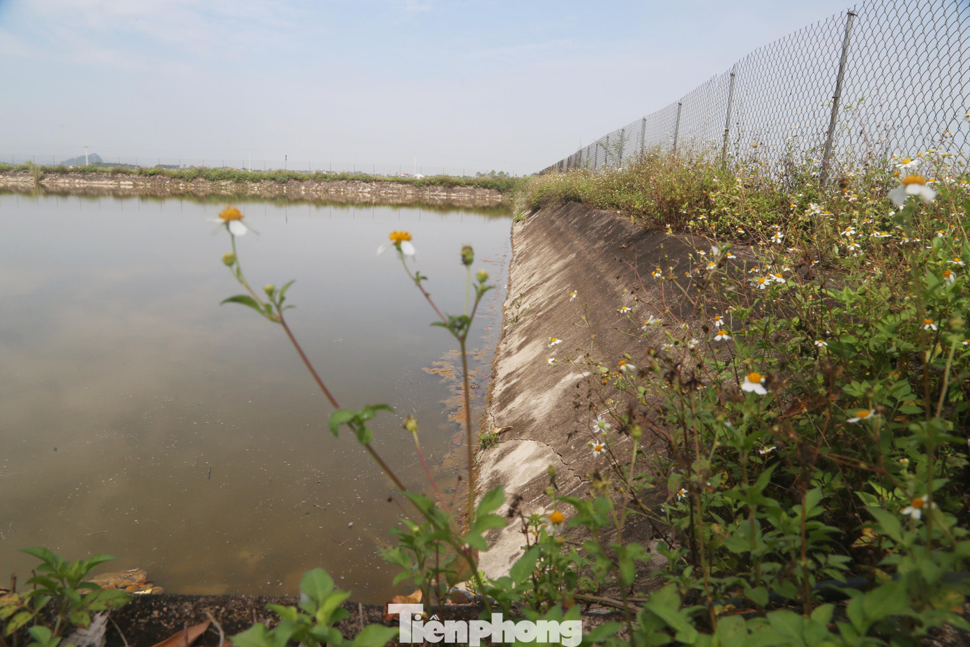 Hồ chứa nước được rào chắn bằng lưới B40 rất sơ sài, cỏ dại mọc um tùm