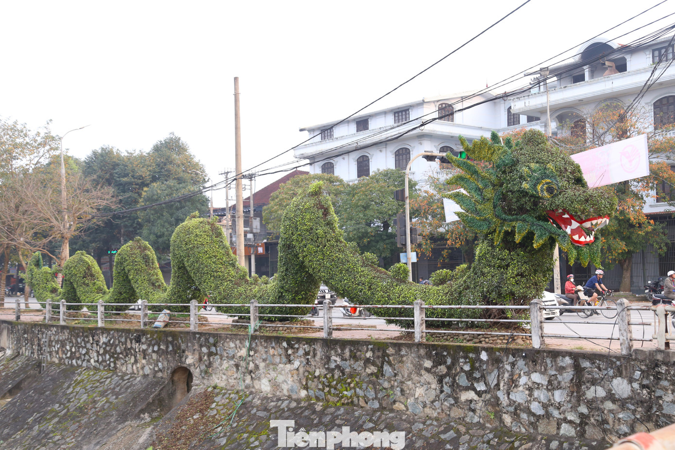 Ngày 6/2 (27 tháng Chạp), nhiều người qua lại ngã tư đại lộ Lê Nin - đường Nguyễn Sỹ Sách, TP Vinh, Nghệ An tỏ ra thích thú khi thấy hai cây cảnh hình rồng tại đây đã có diện mạo mới.