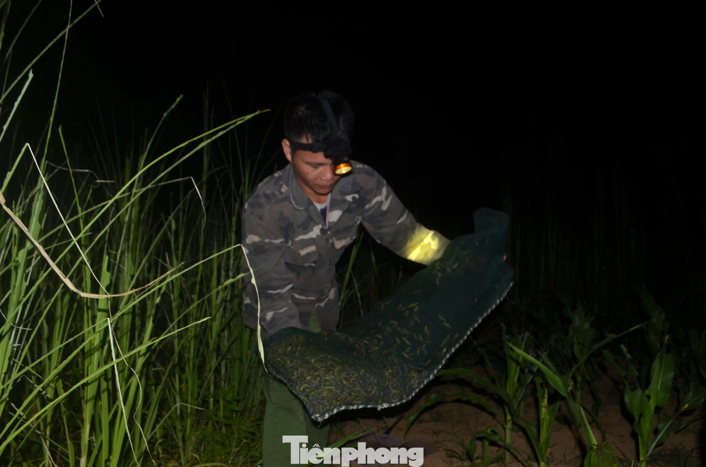 Châu chấu thường thích đẻ trứng ở đất ẩm, xốp, có nhiều cỏ dại, nhiều ánh nắng, thích đẻ trên đất cát pha. Châu chấu có tuổi đời khoảng 200 - 210 ngày. Trong đó, thời kỳ trứng: 15 - 21 ngày, thời kỳ sâu non: 100 ngày, thời kỳ trưởng thành khoảng 3 tháng.