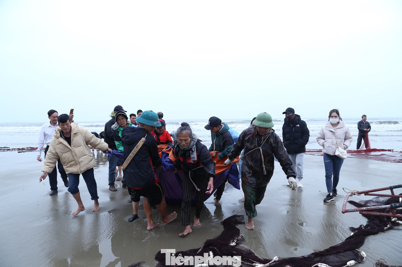 Mẻ lưới rùng được đưa vào bờ Mẻ lưới rùng được đưa vào bờ