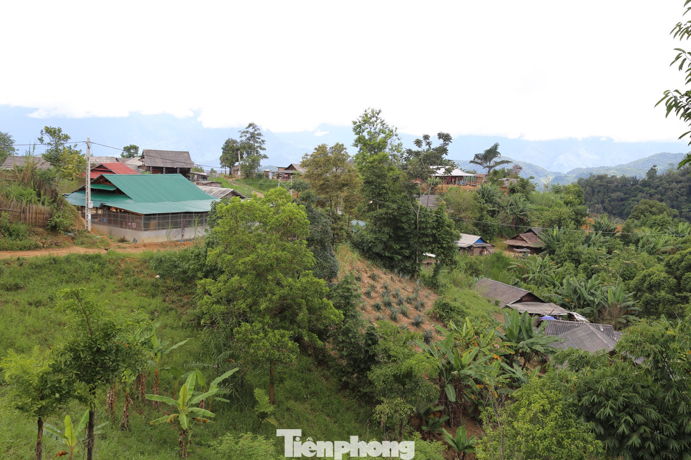 Những bản làng lọt sâu giữa đại ngàn miền tây Nghệ An là vùng đất các đối tượng mua bán người nhắm đến.