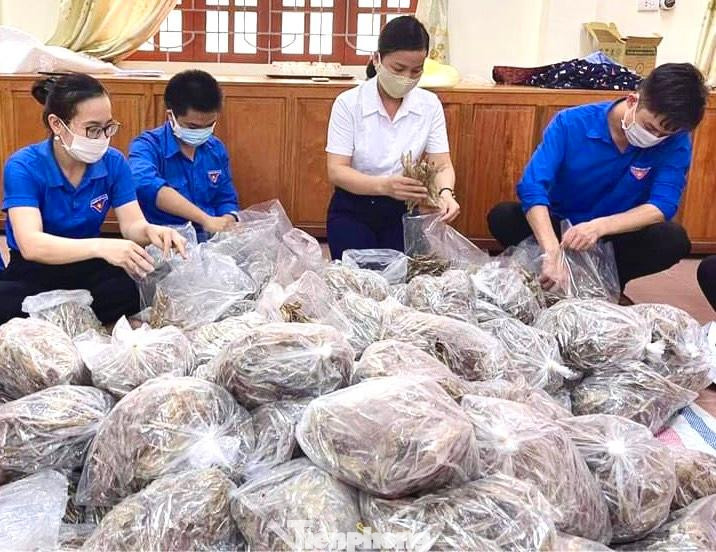 Đoàn viên thanh niên huyện Hưng Nguyên đóng gói cá khô gửi tặng bà con Sài Gòn.