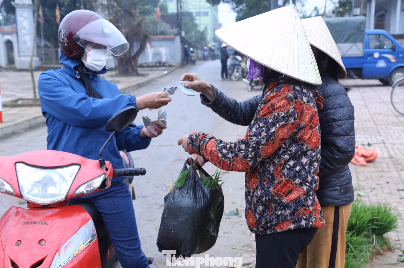 Người mua vài ba bó, có người mua cả bì mới đủ để dặm ruộng. Ngay khi hoàn tất việc mua bán, lúa sẽ nhanh chóng được đưa ra ruộng để dặm kịp trong buổi.