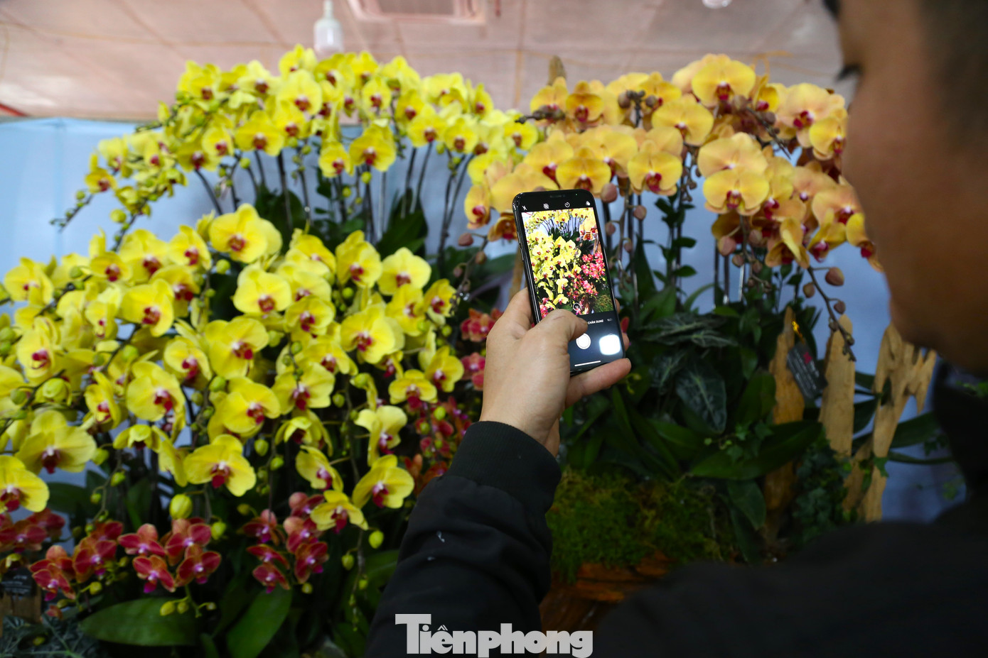 Để có tác phẩm đẹp, ngoài tay nghề, người thợ phải có sự sáng tạo, mang đậm dấu ấn cá nhân.