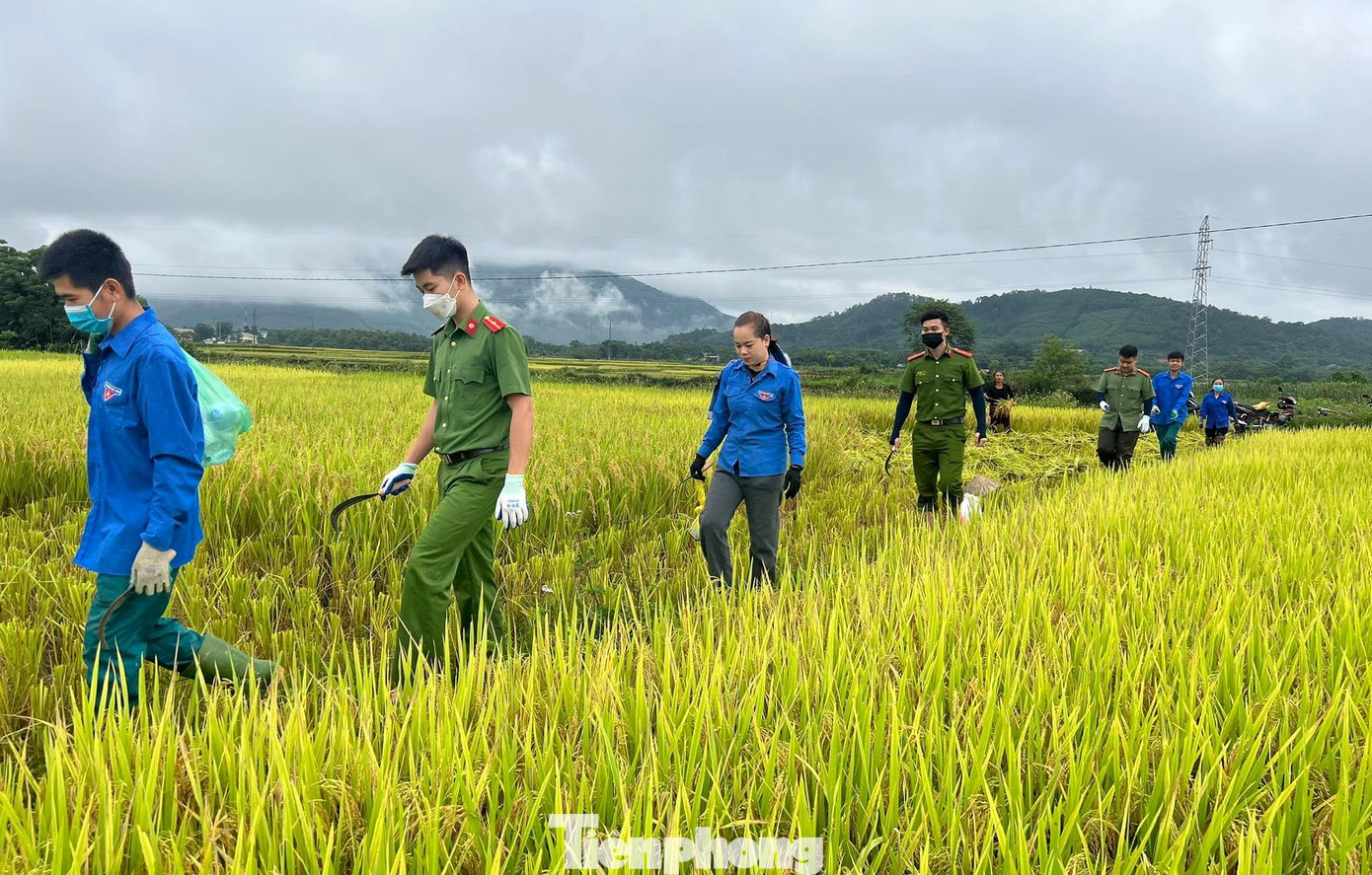 Do ảnh hưởng của rãnh áp thấp kết hợp với hoạt động của hội tụ gió trên cao, từ tối ngày 21/5 đến nay, trên địa bàn các huyện miền núi Nghệ An đã xảy ra mưa to, có nơi mưa rất to. Mưa lớn liên tiếp mấy ngày qua khiến hàng trăm ha lúa và hoa màu đang vào vụ thu hoạch bị đổ rạp, hư hỏng. Lúa chín ngâm trong nước đã mấy ngày, nếu không thu hoạch kịp sẽ mất trắng.
