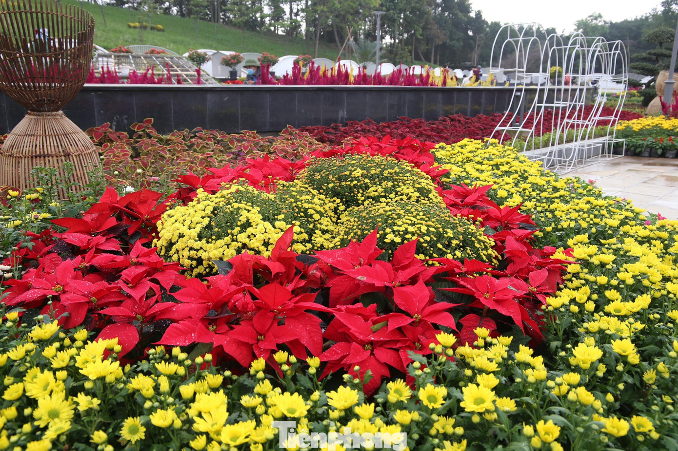 Những con đường hoa được trang trí cầu kỳ, theo thiết kế với nhiều điểm nhấn tinh tế gây ấn tượng mạnh.