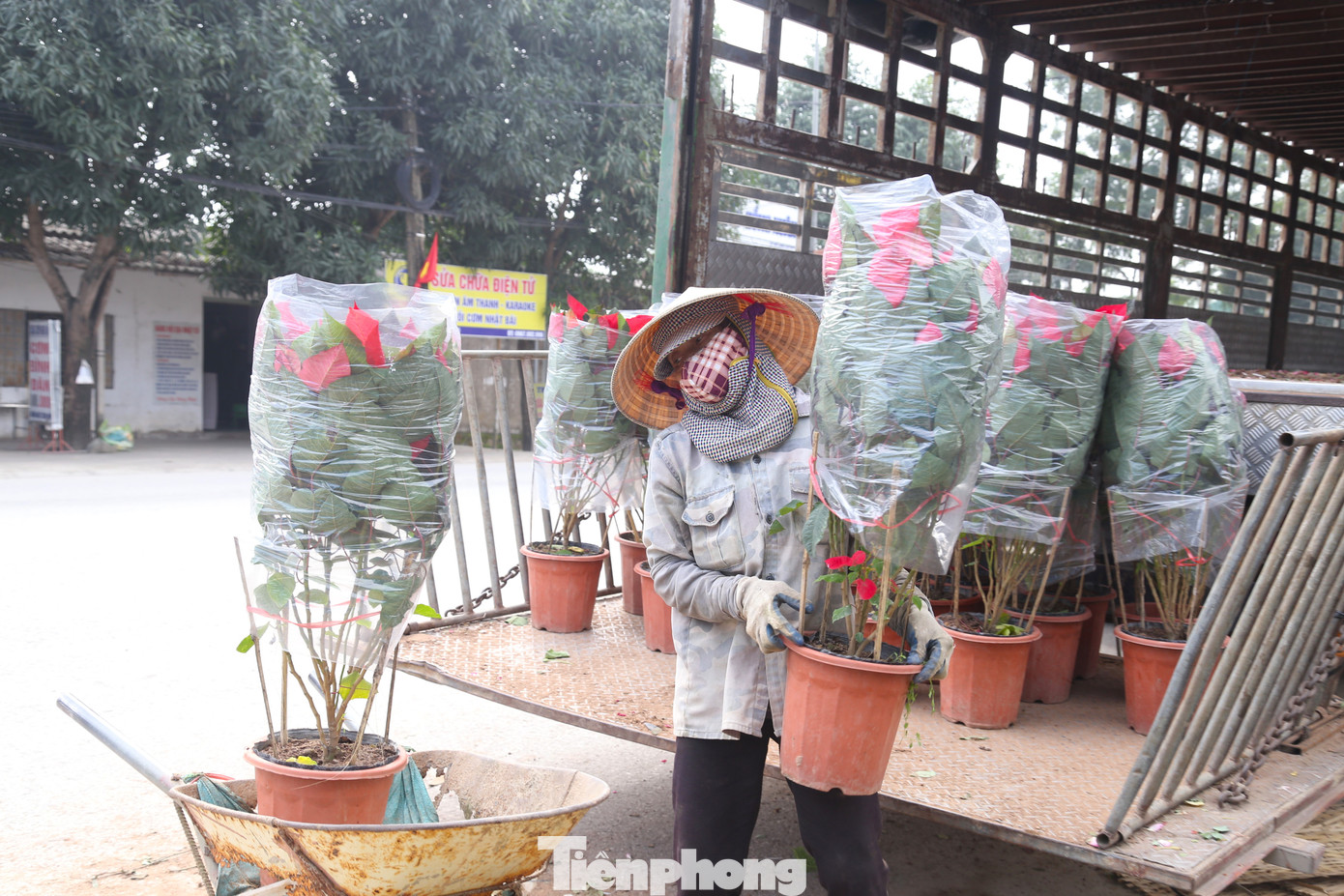 Những người phụ nữ đeo găng tay, bịt khẩu trang và đi ủng để làm việc suốt một ngày dài.