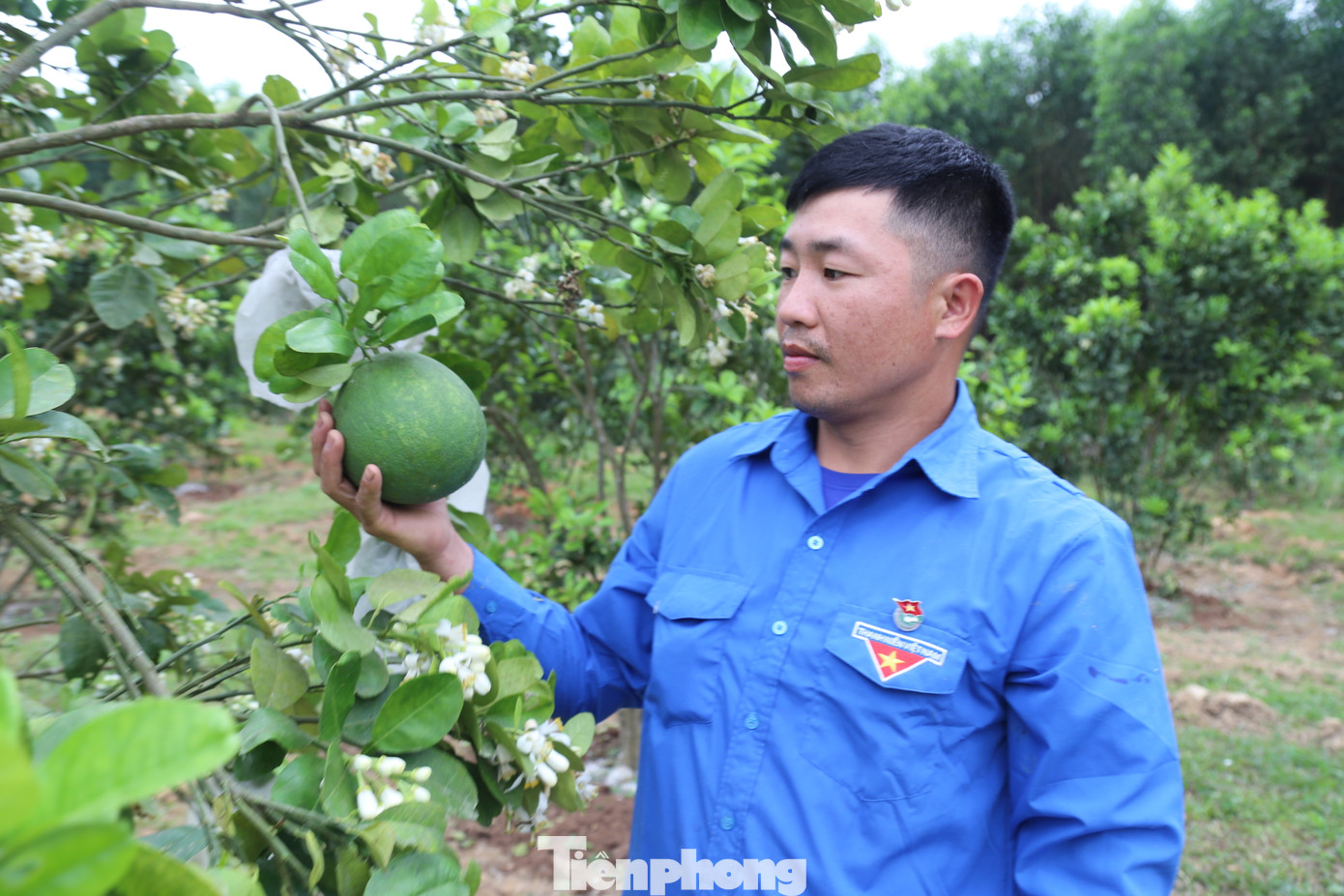 Nguyễn Văn Cường bên vườn cây ăn quả.