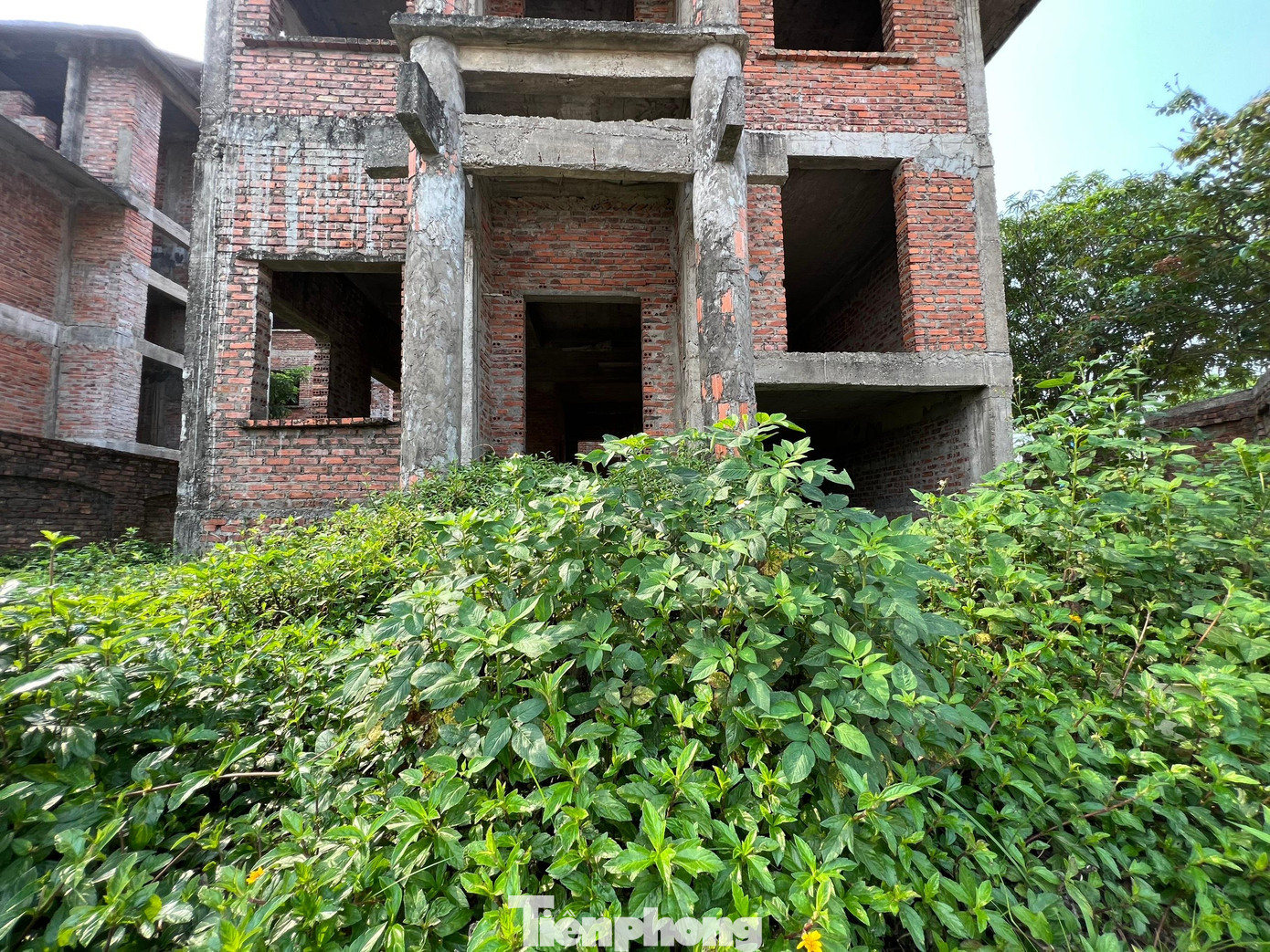 Dự án có tổng mức đầu tư hơn 228 tỷ đồng, được kỳ vọng sẽ đáp ứng nhu cầu về nhà ở cho 800 người.