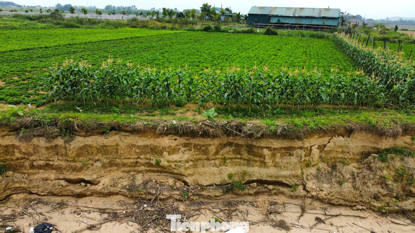 Chính quyền địa phương cho biết, khu vực sạt lở có chiều dài gần 1km, vào sâu khoảng 30 mét so với trước đây.