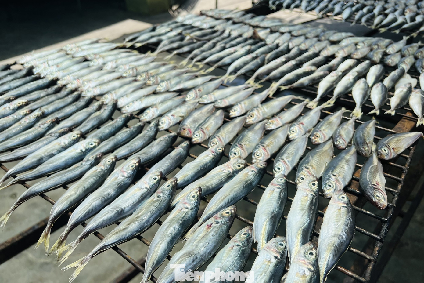 Nằm dọc lạch Vạn hướng ra biển, ngôi làng Trung Hậu, xã Diễn Vạn, huyện Diễn Châu, Nghệ An có hàng chục lò nướng cá hai bên con đường xương sống của làng. Tuy người dân ở đây không làm nghề biển, nhưng nướng cá đã là nghề truyền thống lâu đời của làng.