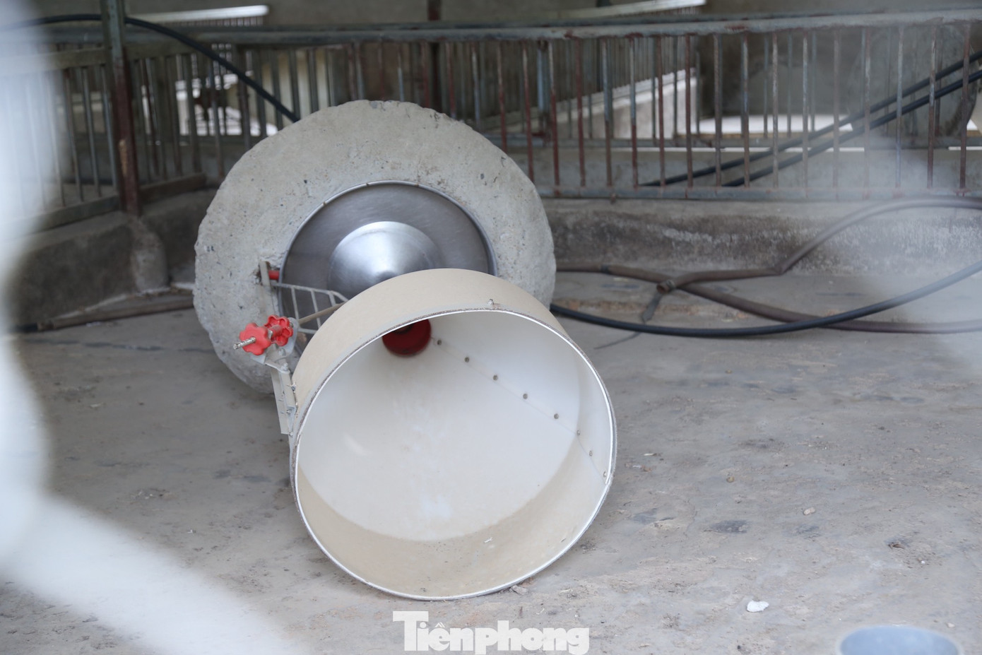 “Nuôi một con lợn từ khi mới thả giống đến khi xuất bán, tính ra lỗ tiền triệu một con. Càng nuôi càng lỗ nên ba tháng nay gia đình tôi đóng chuồng, xem tình hình thế nào rồi mới nuôi tiếp”, anh Trần Đình Đường (SN 1984, trú xã Tân Thành, huyện Yên Thành) cho biết.