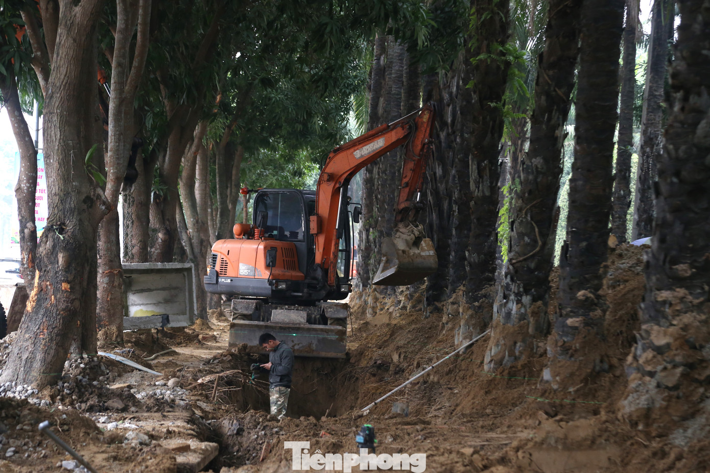 Đơn vị thi công đào vỉa hè để xây hào kỹ thuật tuyến đường Trường Thi, trước công viên Nguyễn Tất Thành, đối diện UBND tỉnh Nghệ An.
