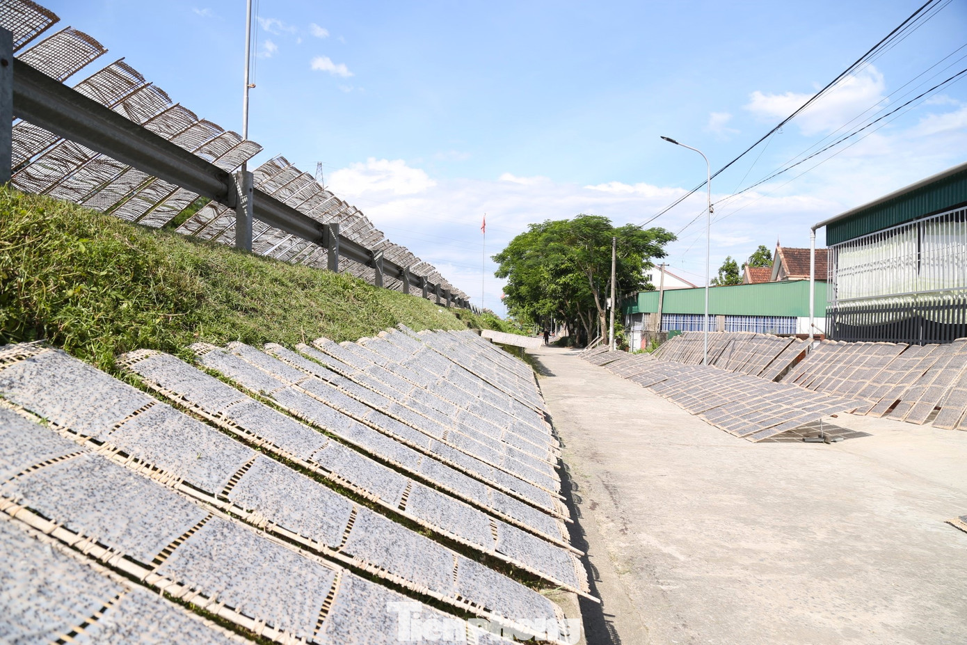 Hàng năm, cứ đến tháng Chạp (tháng 12 Âm lịch), những hộ dân làng nghề bánh đa Đông Nhật (xã Châu Nhân, huyện Hưng Nguyên, Nghệ An) lại ăn ngủ với nghề để kịp đơn hàng phục vụ thị trường Tết Nguyên đán. Trên khắp đường làng, đường đê, những giàn phơi bằng tre, nứa được người dân dựng lên vừa khít với khuôn các phên bánh.