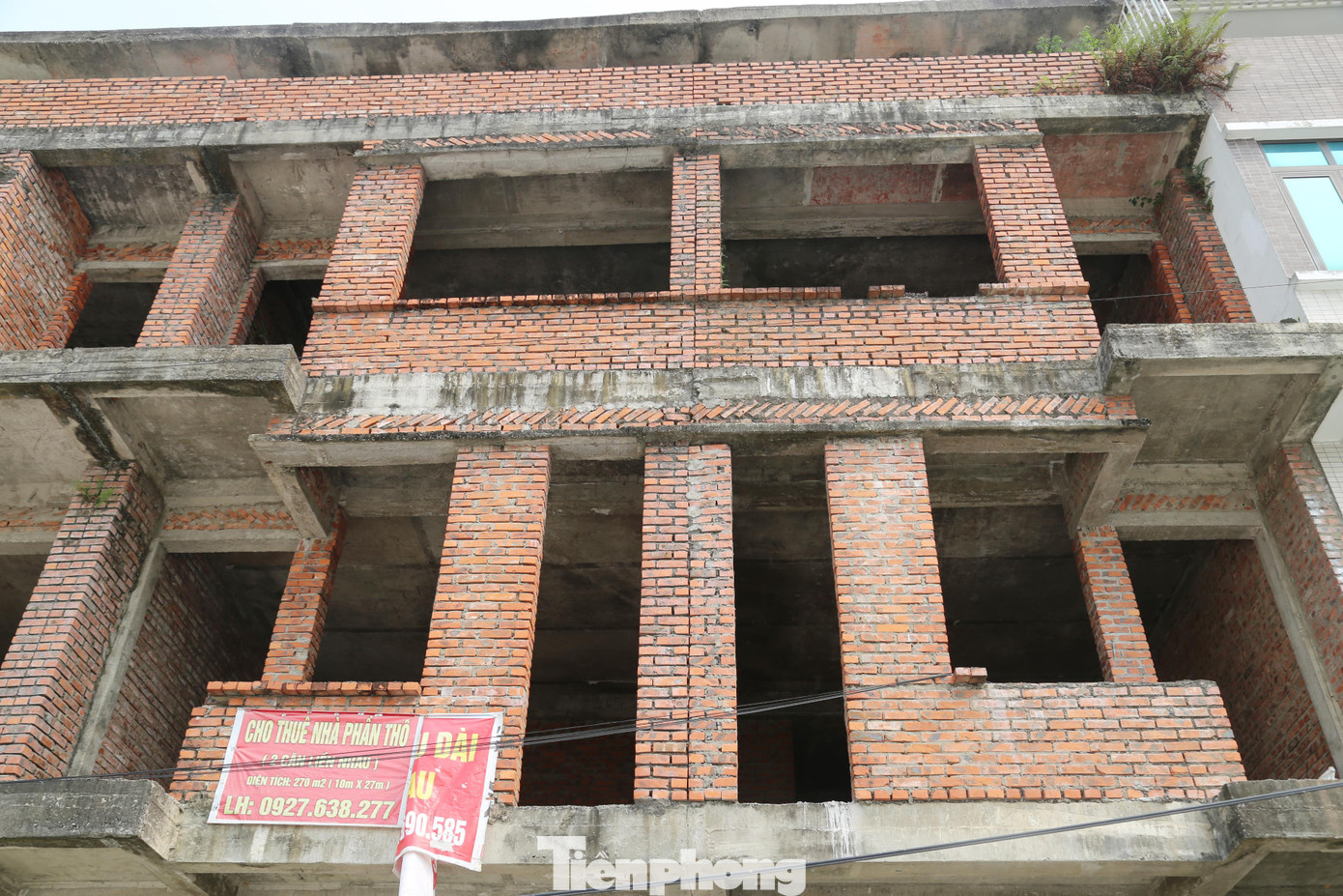 Dãy biệt thự liền kề tại xóm 19, xã Nghi Phú, TP. Vinh do Vinaconex 9 làm chủ đầu tư được xây dựng gần 20 năm nhưng không có người ở.