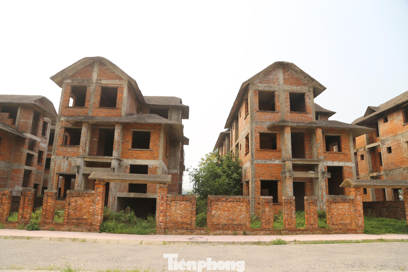 Những căn biệt thự cao 3 tầng, được xây dựng trên diện tích 240-270m2/căn đã được hoàn thiện phần thô từ lâu. Tuy nhiên, do bị bỏ hoang lâu ngày nên đã bắt đầu có dấu hiệu xuống cấp, cỏ dại bao bọc quanh nhà.