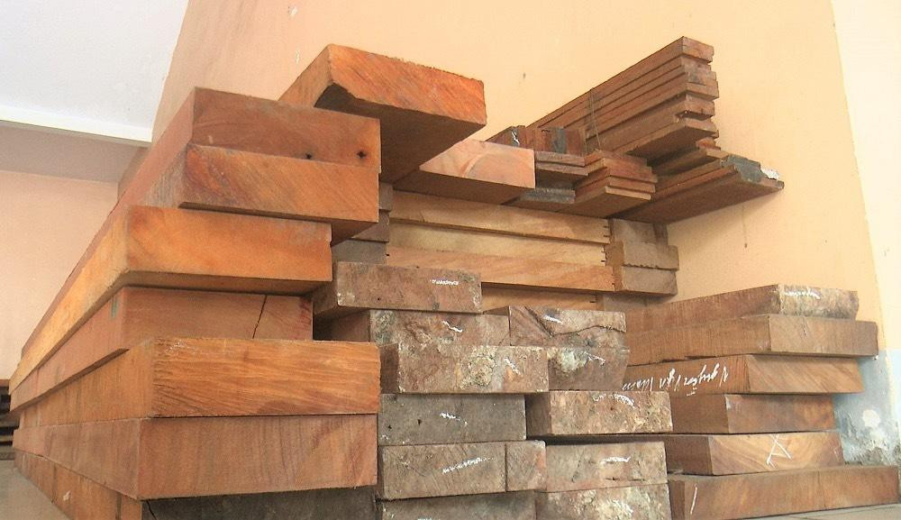 Số lượng lớn gỗ quý bị nhóm đạo chích trộm Số lượng lớn gỗ quý bị nhóm đạo chích trộm