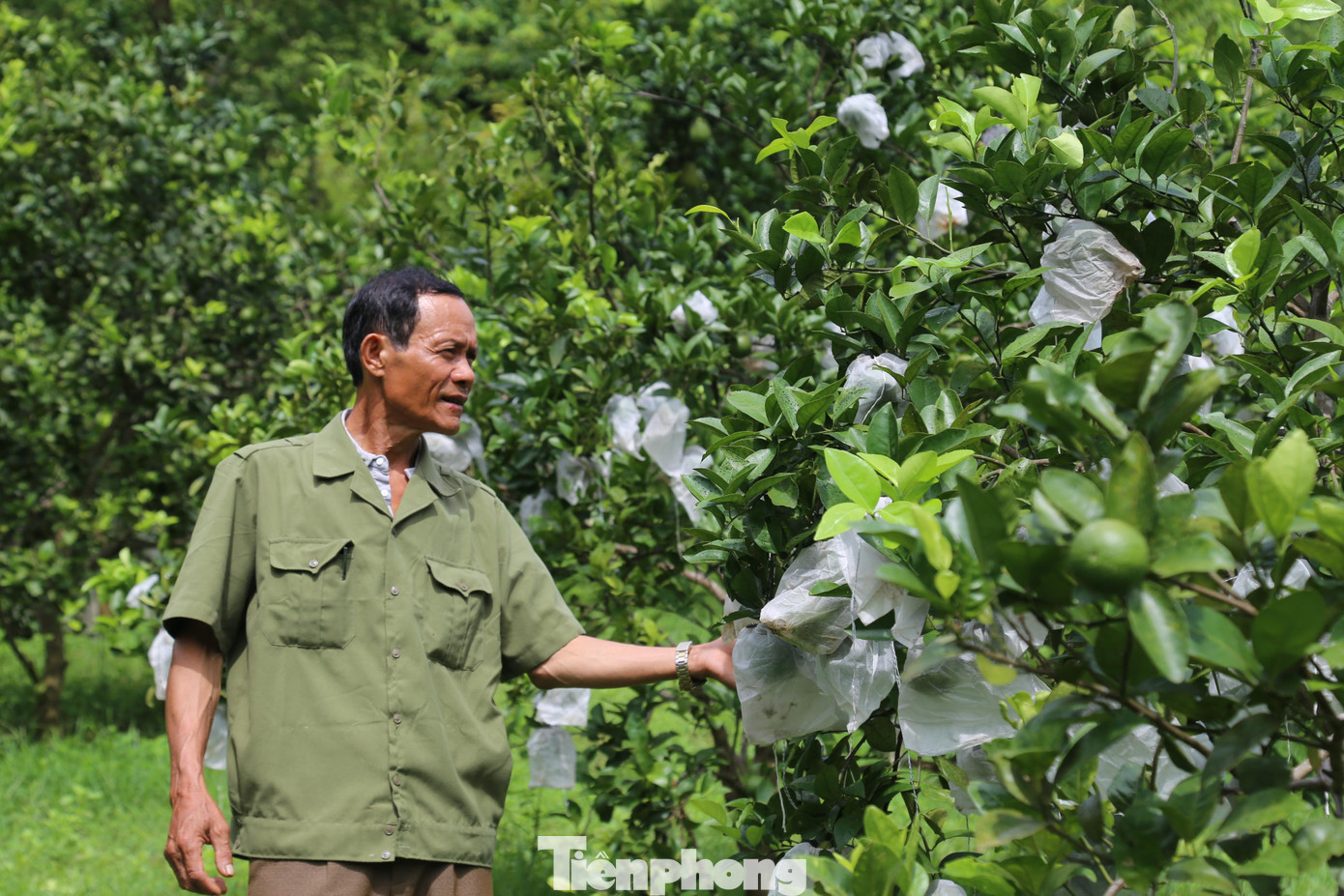 Mất 14 năm, 4 tháng, 15 ngày, bằng sự nỗ lực cố gắng cải tạo, ông Nguyễn Tấn Đức đã "sửa" được bản án chung thân, trở về với gia đình. Mất 14 năm, 4 tháng, 15 ngày, bằng sự nỗ lực cố gắng cải tạo, ông Nguyễn Tấn Đức đã "sửa" được bản án chung thân, trở về với gia đình.