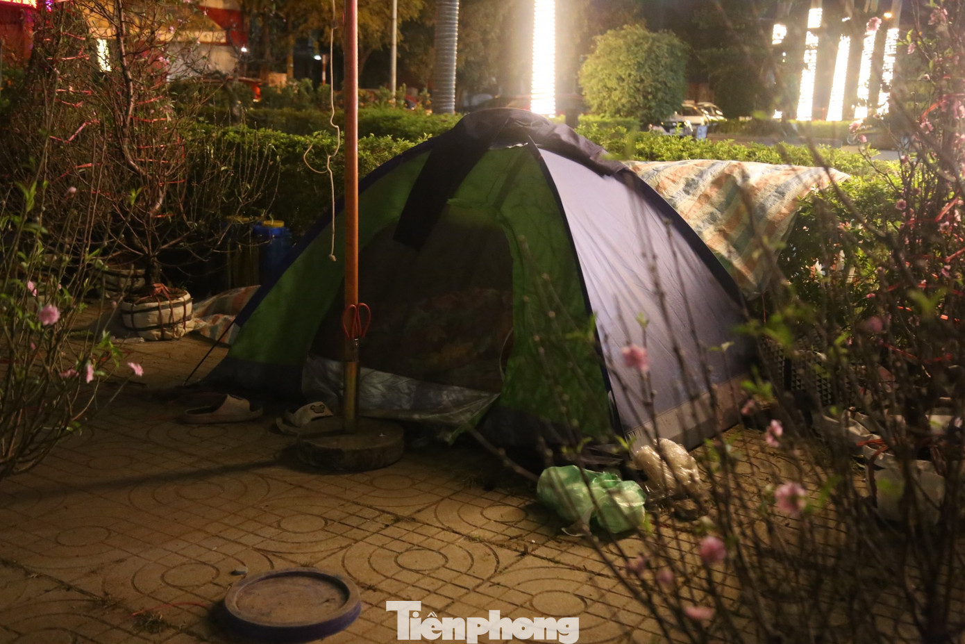Ban đêm, nhiệt độ xuống thấp, người trông cây cảnh ở khu vực Đại lộ Lê Nin, thành phố Vinh phải kéo kín lều khi ngủ.