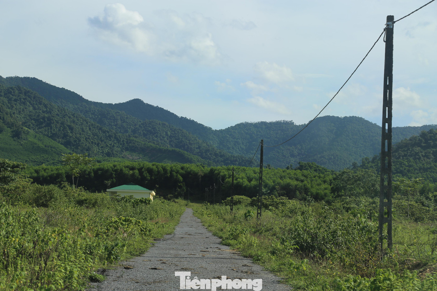 Ông Bùi Xuân Lĩnh - Chủ tịch UBND xã Võ Liệt cho biết: “Hiện do thuyền bè hư hỏng nên người dân đã lên dựng nhà tạm để ở, đó là công trình xây dựng trái phép, khi nào khu tái định cư hoàn thành thì họ bắt buộc phải di chuyển. Người dân cũng rất mong sớm được chuyển đến nơi ở mới”.
