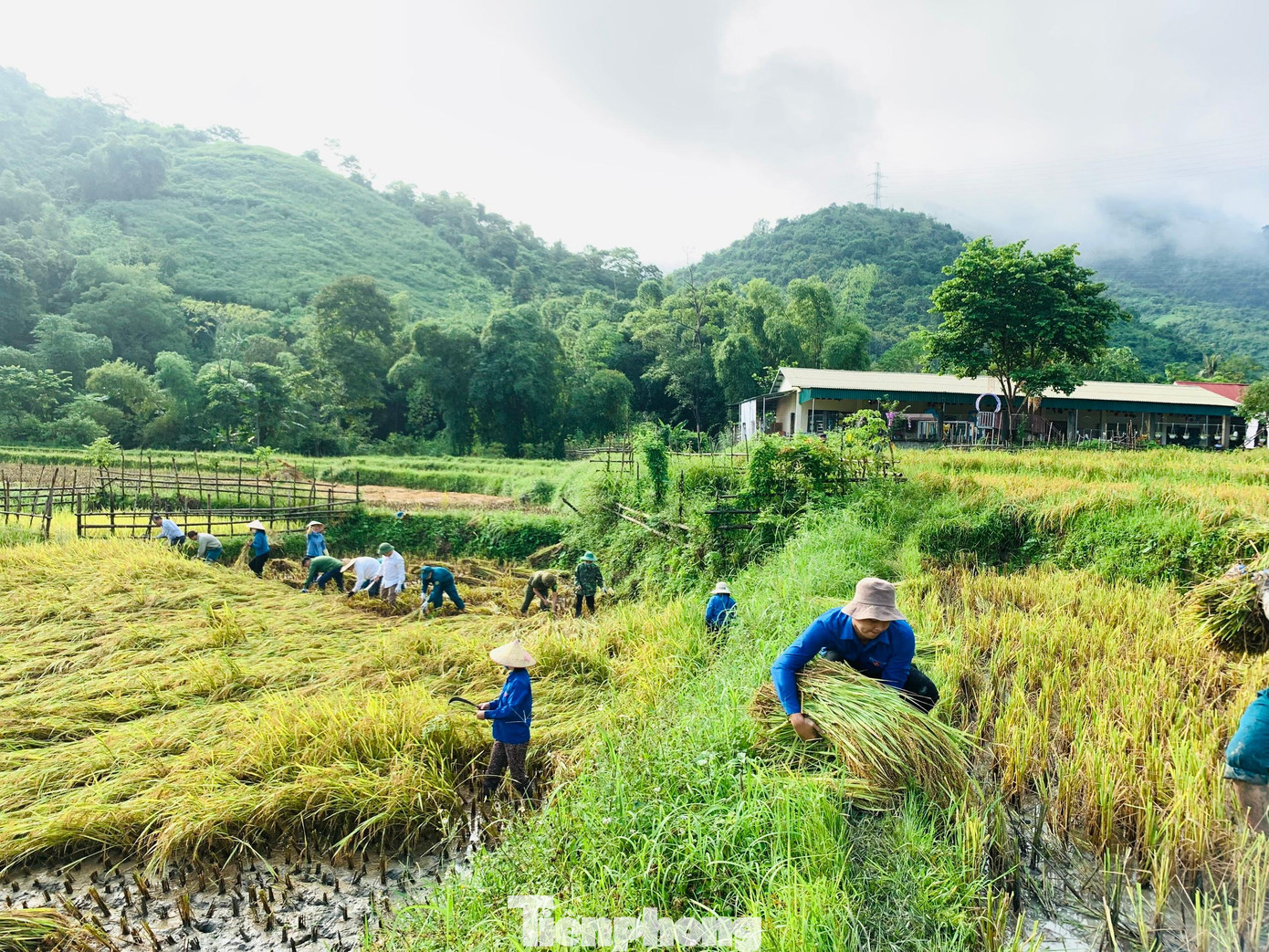 Dù thời tiết oi bức nhưng các bạn đoàn viên thanh niên vẫn rất nhiệt tình giúp đỡ người dân.