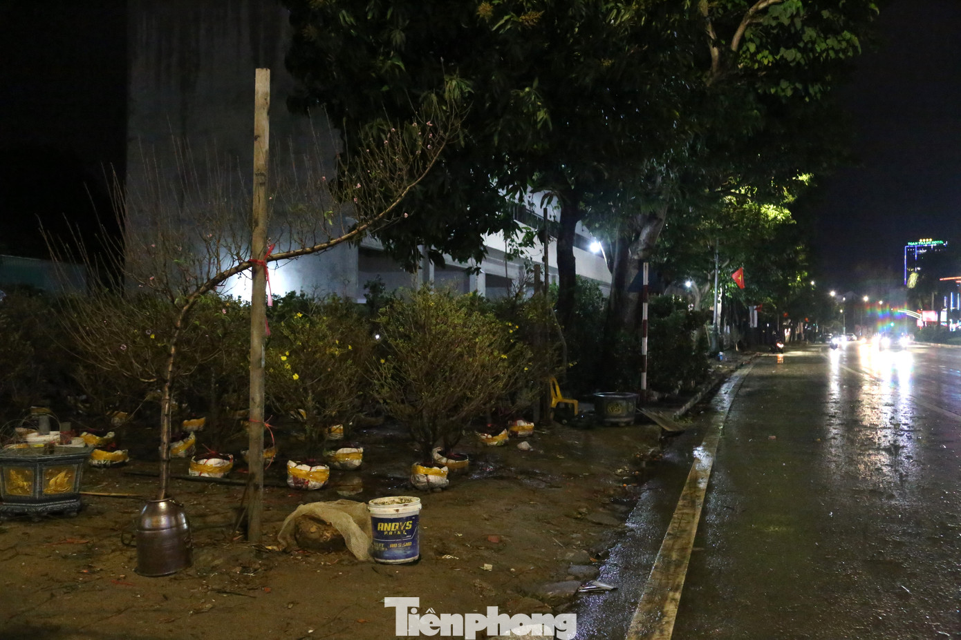 Nhiều điểm bán đào, quất, mai vắng bóng khách. Tiểu thương lo "mất Tết" khi hàng còn nhiều mà Tết đã cận kề.