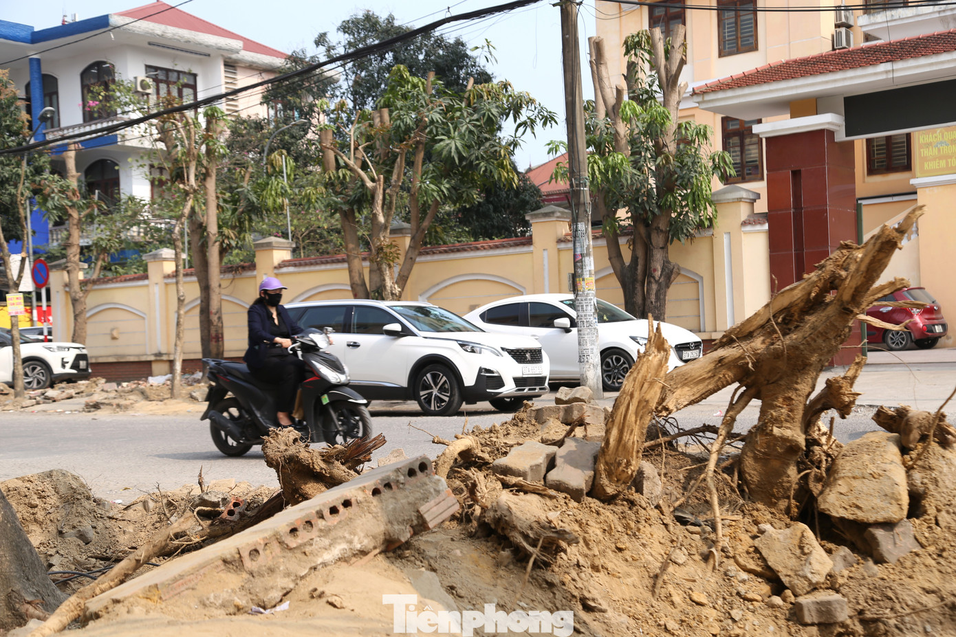 Nhiều rễ cây được đào lên nằm chơ vơ trên vỉa hè.