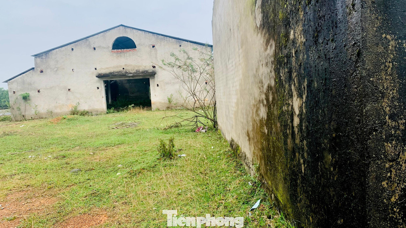 Đây là công trình chợ hạng 3. Đình chính có diện tích 400m2; hệ thống quầy ốt bán hàng 400m2; hệ thống sân nền, hàng rào, mương thoát nước, phòng cháy, chữa cháy và các công trình phụ trợ khác… Dự kiến, tổng mức đầu tư của dự án này là gần 4 tỷ đồng.