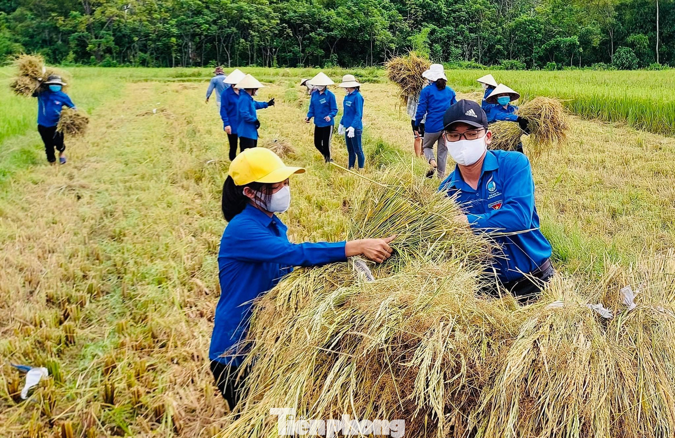 Bà Nguyễn Thị Hạnh (xã Thượng Sơn) chia sẻ: "Gia đình tôi phải cách ly tập trung nên ai cũng rất lo lắng khi mấy sào lúa đã chín rộ nhưng không thể thu hoạch. Sợ gặp mưa gió lúa ngã thì vụ mùa mất trắng, may sao được các bạn trẻ hỗ trợ gặt giúp. Thật lòng cảm ơn các bạn ấy rất nhiều".