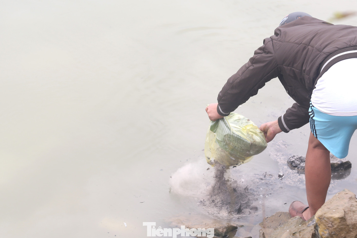 Nhiều người sau khi thả cá đã thả tro hương, đồ thờ xuống sông gây ô nhiễm môi trường. Không ít cá chép bị mắc kẹt khi người dân phóng sinh.