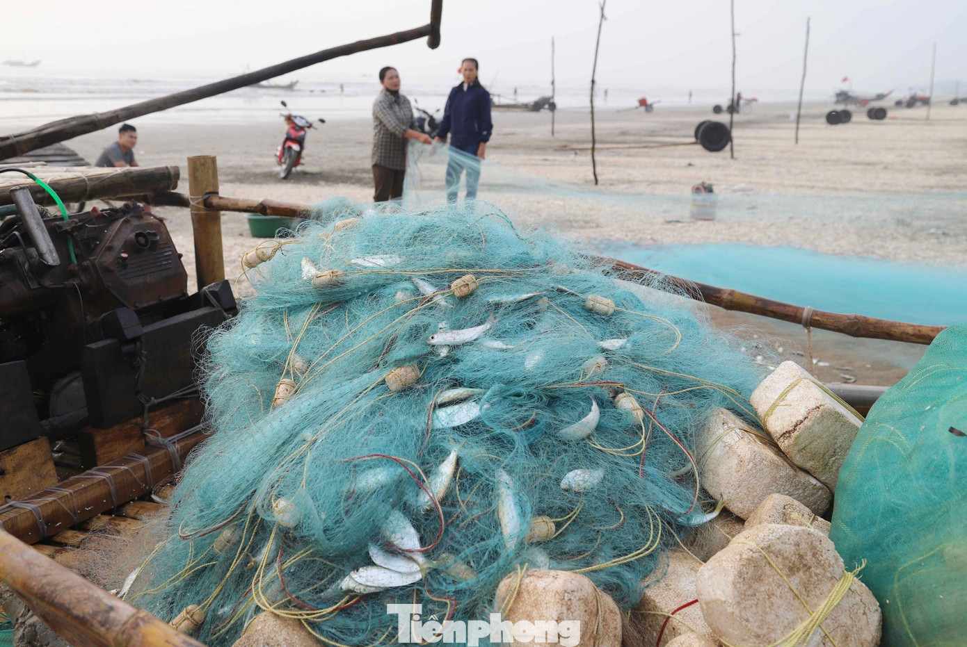 Thông thường, nếu ra khơi 2-3 chuyến/ngày, ngư dân có thu nhập từ vài triệu đồng trở lên sau khi đã trừ chi phí. Thông thường, nếu ra khơi 2-3 chuyến/ngày, ngư dân có thu nhập từ vài triệu đồng trở lên sau khi đã trừ chi phí.