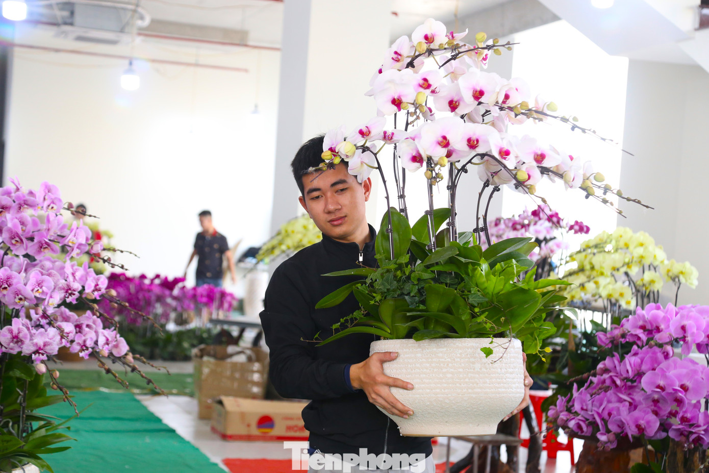 Theo quan niệm dân gian, lan hồ điệp tượng trưng cho sự phú quý, may mắn và thịnh vượng. Lan hồ điệp được nhiều người yêu thích và lựa chọn để trang trí, làm quà tặng trong các dịp đặc biệt như lễ, Tết… Chính sự đắt đỏ, giá trị của loại hoa này mà thu nhập của những người thợ cũng cao hơn so với các nghề khác.