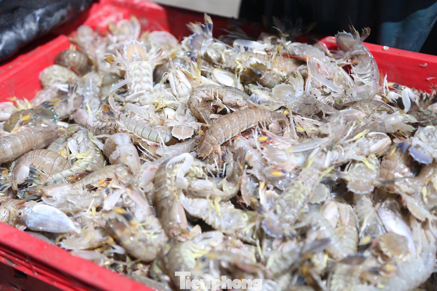 Ghẹ, tôm tít là hải sản đặc trưng của nghề lộng. Ghẹ tươi ngon giá dao động từ 250.000 - 300.000 đồng/kg; tôm tít loại 1 giá 170.000 đồng/kg, loại 2 giá 130.000 – 150.000 đồng/kg.