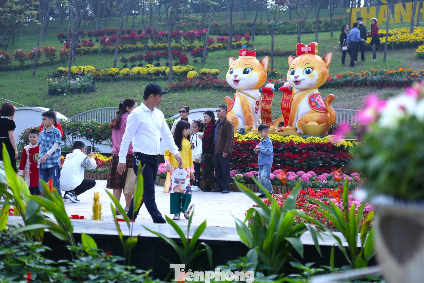 Năm nay, lượng hoa được thiết kế để đặt tại các công trình này nhiều và đa dạng hơn những năm trước. Đặc biệt, tại các công trình hoa này sẽ có thêm hình tượng linh vật mèo.