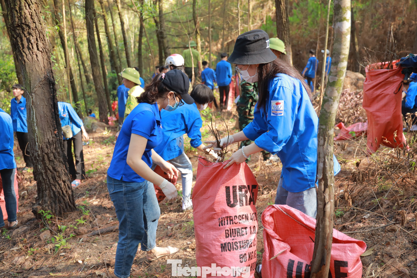 Anh Đặng Ngọc Minh – Bí thư Huyện Đoàn Quỳnh Lưu chia sẻ: “Bảo vệ rừng vừa là nghĩa vụ, là trách nhiệm của cả hệ thống chính trị và toàn dân, trong đó có đoàn viên thanh niên. Để triển khai có hiệu quả công tác bảo vệ rừng và phòng chống cháy rừng, Ban Thường vụ Huyện đoàn đã đề nghị tổ chức Đoàn trong toàn huyện tập trung đẩy mạnh công tác tuyên truyền các chủ trương, chính sách của Đảng, pháp luật của Nhà nước về công tác bảo vệ rừng và phòng cháy chữa cháy rừng".