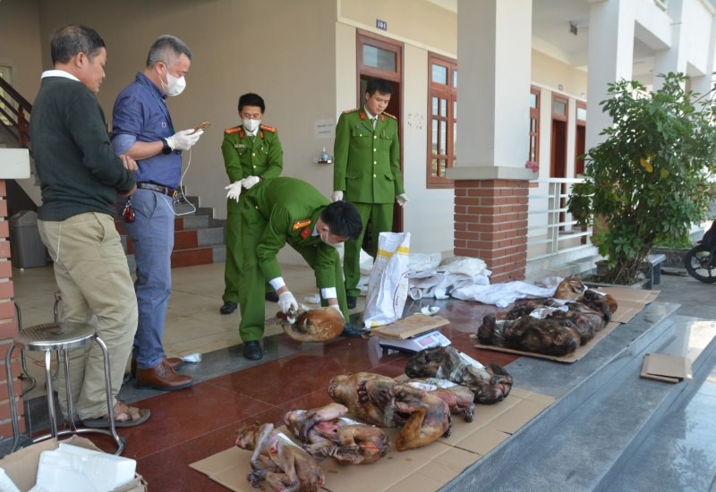 Hàng chục cá thể động vật quý hiếm (đã chết) được thu giữ.