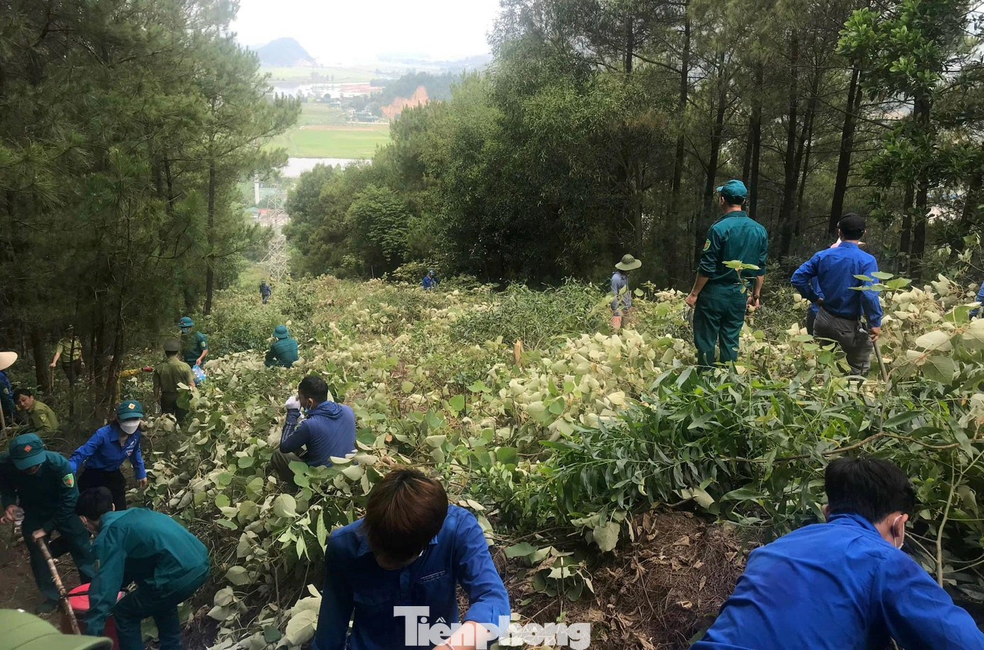 Lực lượng thanh niên, dân quân tự vệ hăng hái tham gia