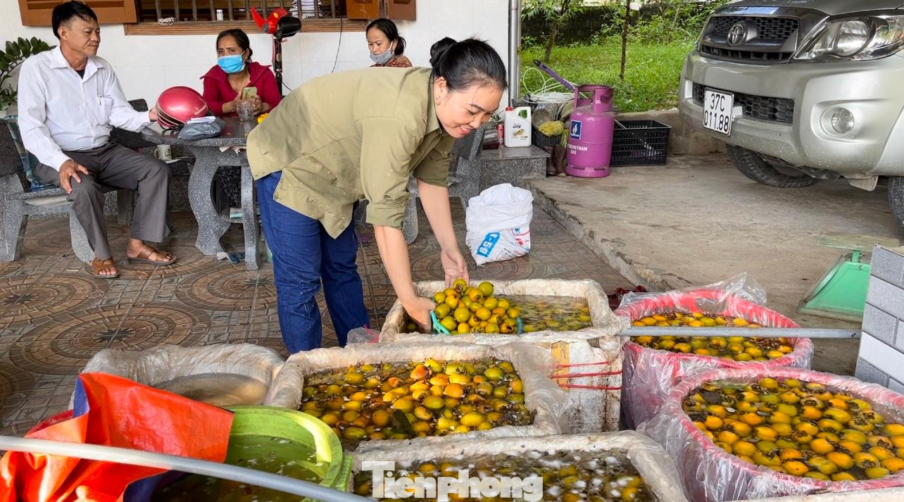 Huyện Nam Đàn đã có đề án phát triển du lịch cộng đồng từ các vườn hồng ở xã Nam Anh, trong đó chọn hồng làm sản phẩm chủ lực tham gia Chương trình “Mỗi xã một sản phẩm”. Xã Nam Anh sẽ được đầu tư dây chuyền công nghệ, chế biến các sản phẩm từ hồng quả: hồng ép dẻo, hồng sấy giòn, mứt hồng...