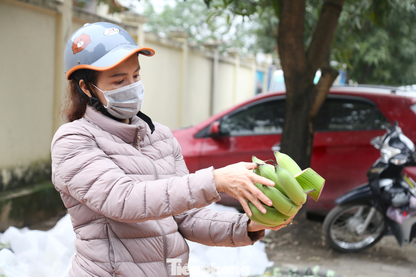 Người dân chọn mua chuối xanh để bày mâm ngũ quả ngày Tết trong sáng 8/2.