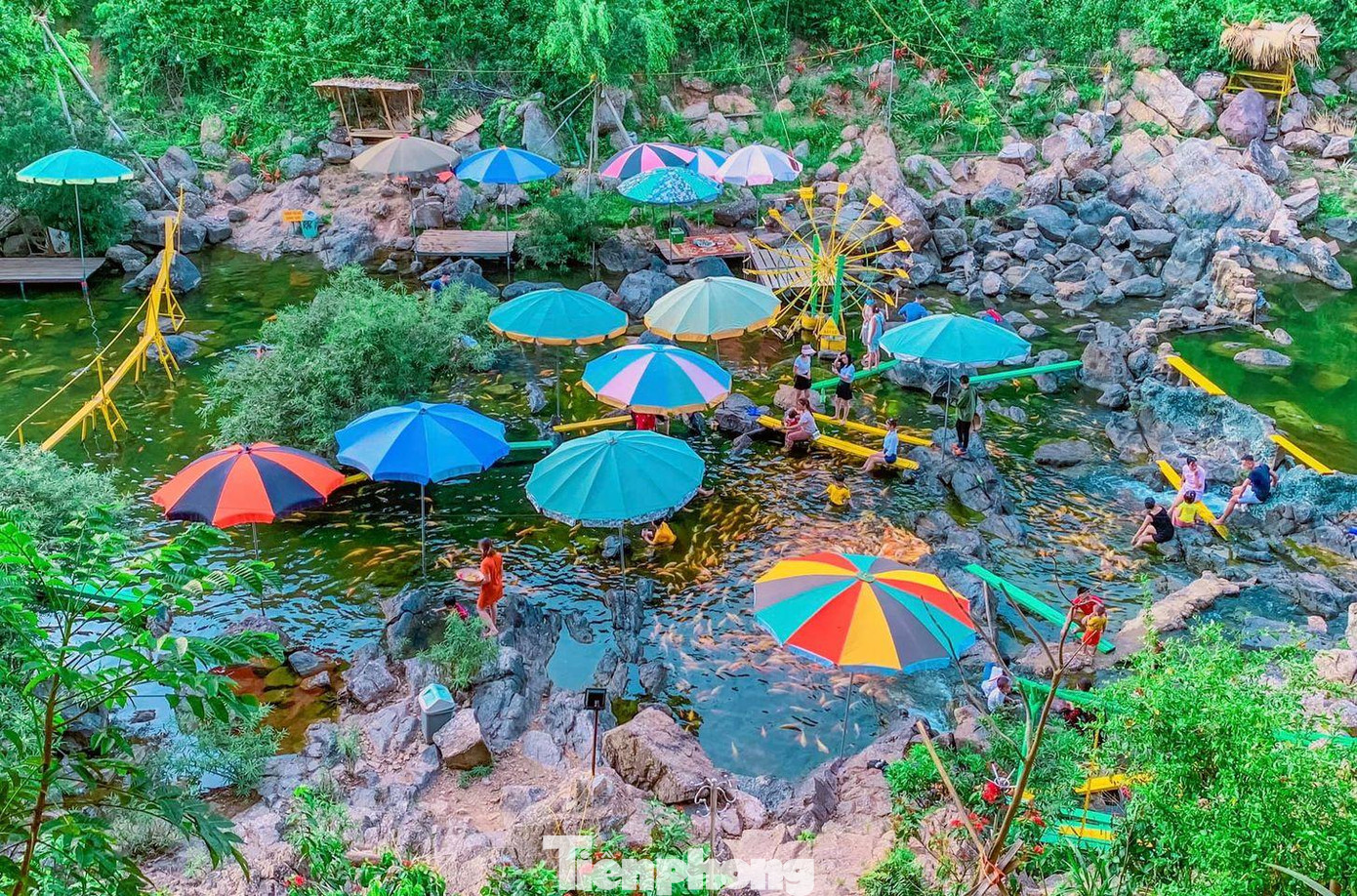 Suối cá vàng Khe Tọ nằm trên địa bàn xóm Đồng Nheo, xã Nghĩa Trung, huyện Nghĩa Đàn, Nghệ An. Dòng suối ngắn, nơi rộng nhất khoảng 30-40m, vị trí sâu nhất khoảng 4-5m, lòng suối không bùn, nước trong vắt.