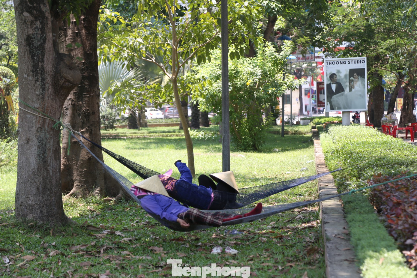 Đối với những người lao động tự do, khu vực công viên, dưới gốc cây, vỉa hè hay trên thùng xe tải… là nơi nghỉ trưa lý tưởng để tránh nóng.