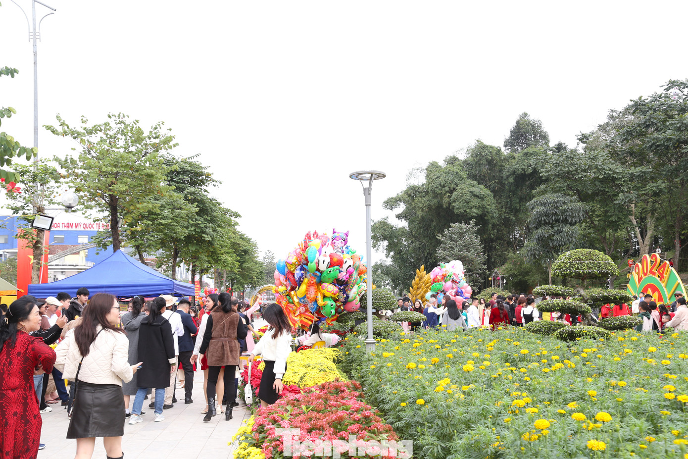 Con đường hoa thu hút rất đông người dân đến chụp ảnh, lưu giữ những khoảnh khắc đẹp trong ngày đầu xuân năm mới.