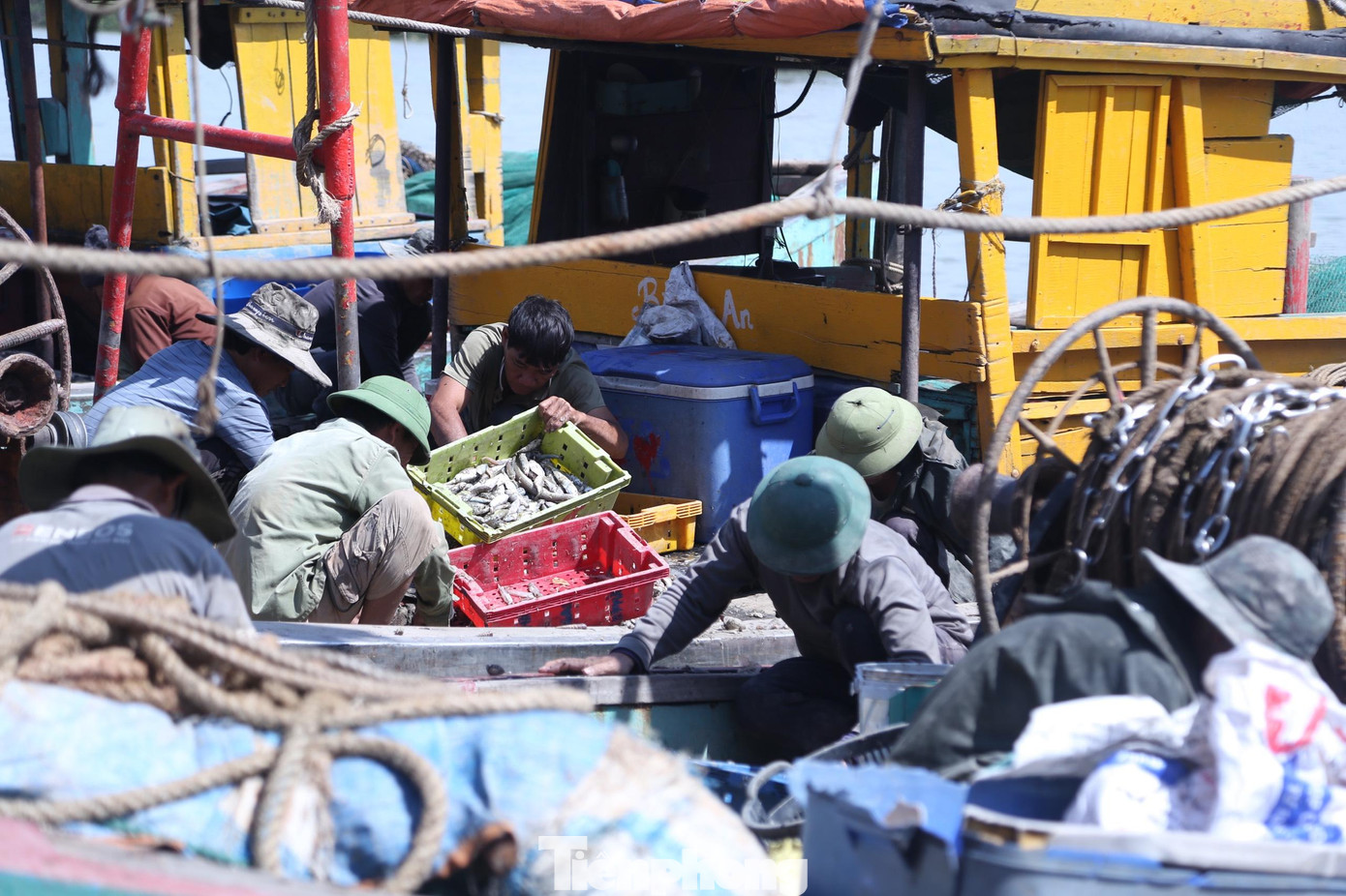 Đặc trưng của nghề đi lộng là hải sản về đến bờ luôn tươi sống. Lúc này, việc phân loại hải sản diễn ra huyên náo.