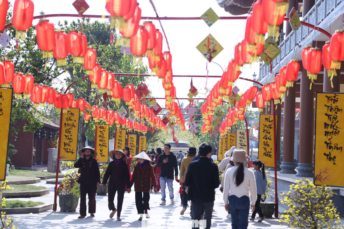 Dịp Tết Nguyên đán Quý Mão 2023, các phật tử tại chùa đã bày trí nhiều tiểu cảnh, tạo cảnh sắc lung linh, rực rỡ.