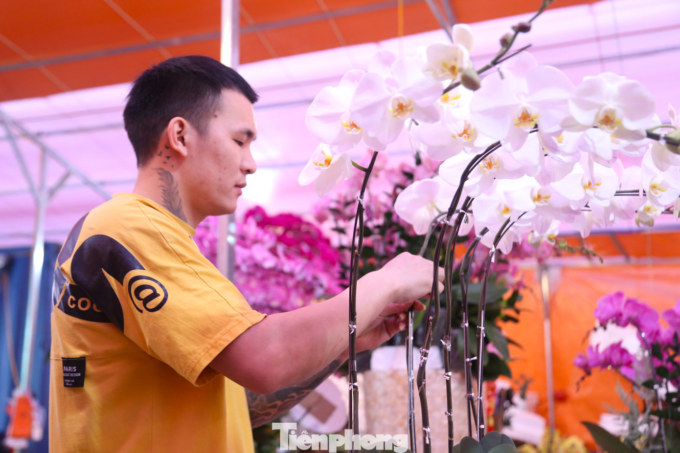 Từ TP Hồ Chí Minh, anh Đức Yên (35 tuổi) ra Nghệ An theo lời mời của chủ các cửa hàng kinh doanh hoa lan. Theo anh Yên, làm công việc này không thể rập khuôn, cứng nhắc mà phải luôn đổi mới, sáng tạo, phù hợp với yêu cầu thẩm mỹ ngày càng cao của khách hàng. Từ TP Hồ Chí Minh, anh Đức Yên (35 tuổi) ra Nghệ An theo lời mời của chủ các cửa hàng kinh doanh hoa lan. Theo anh Yên, làm công việc này không thể rập khuôn, cứng nhắc mà phải luôn đổi mới, sáng tạo, phù hợp với yêu cầu thẩm mỹ ngày càng cao của khách hàng.